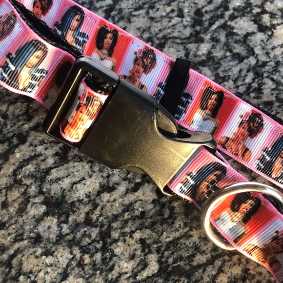 Cardi B Dog pet cat collar leash bundle gift set fashion icon rapper music lot - Picture 3 of 5